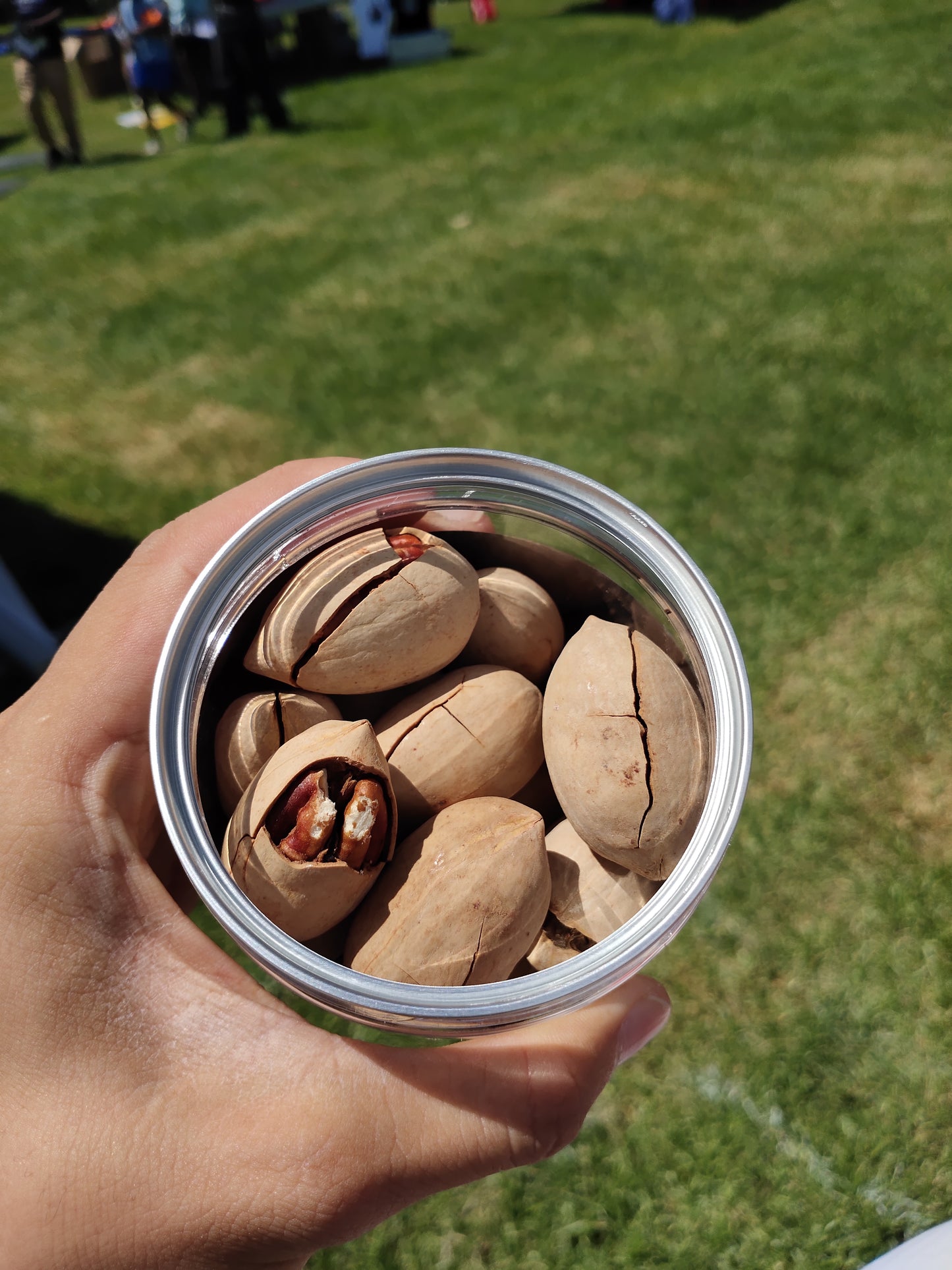 Pecans | 碧根果 250g